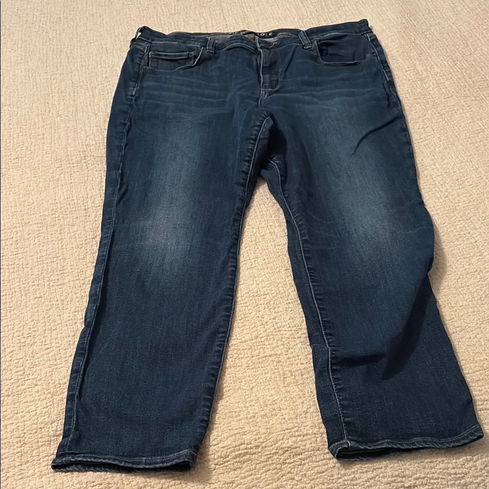 American Eagle Outfitters Blue Ankle Cropped Jeans